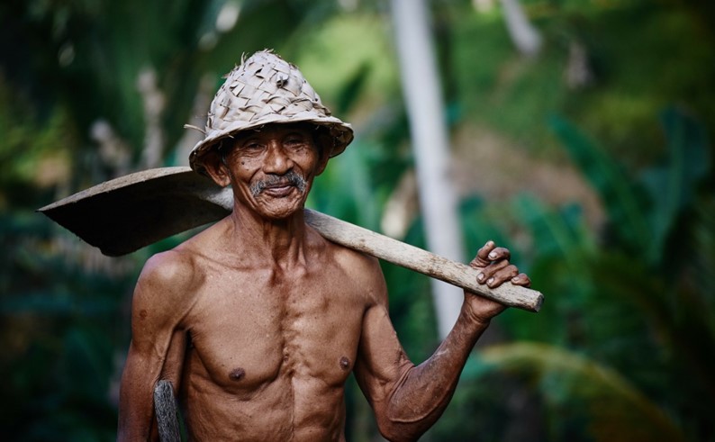 petani indonesia